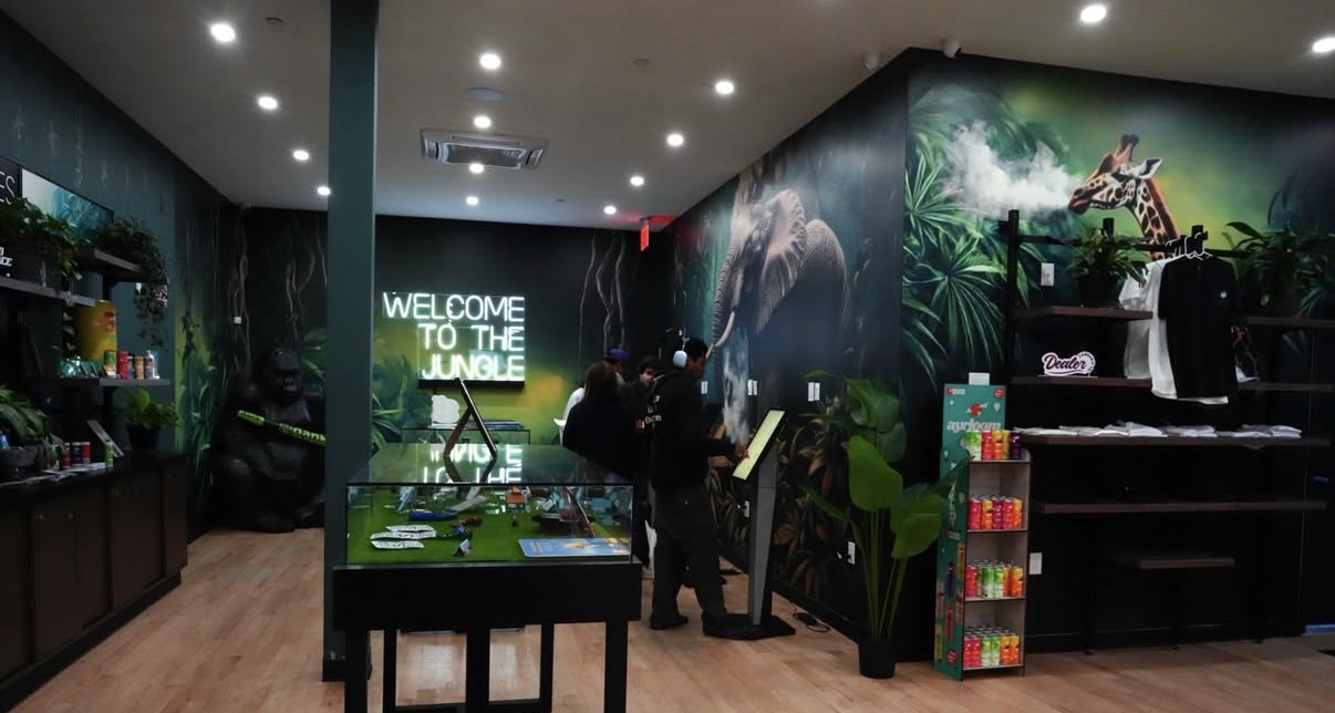 Inside Jungle Kingdom Flower dispensary — jungle mural, neon sign, and open floor in Bed-Stuy Brooklyn